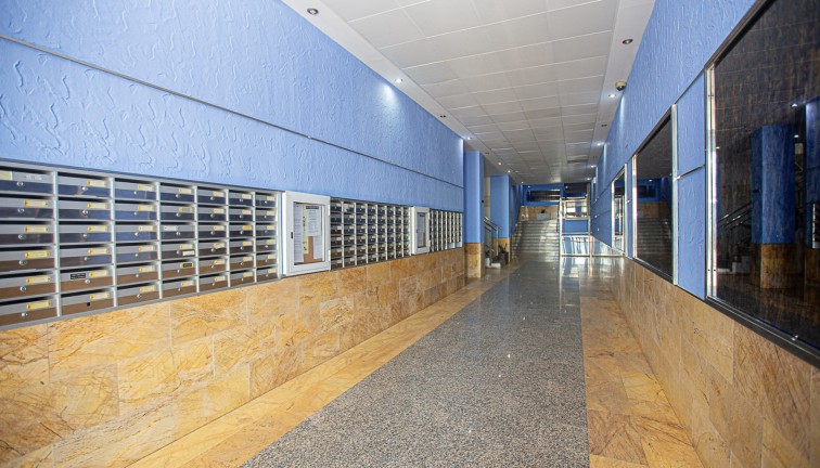 Jälleenmyynti - Asunto - Ylimmän kerroksen asunto - Torrevieja