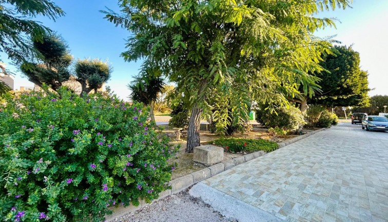 Jälleenmyynti - Paritalo/Rivitalo - Torrevieja - San Luis