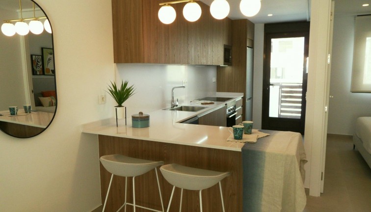 Uudistuotanto - Paritalo/Rivitalo - Pilar de la Horadada