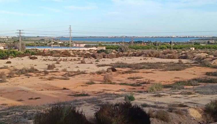 Återförsäljning - Fristående hus - Los Montesinos - LOS MONTESINOS