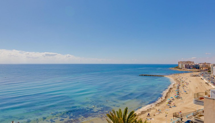 Jälleenmyynti - Paritalo/Rivitalo - Torrevieja - Los Angeles