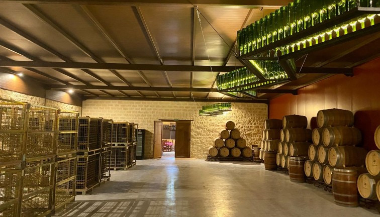 Återförsäljning - Cellar - Albacete
