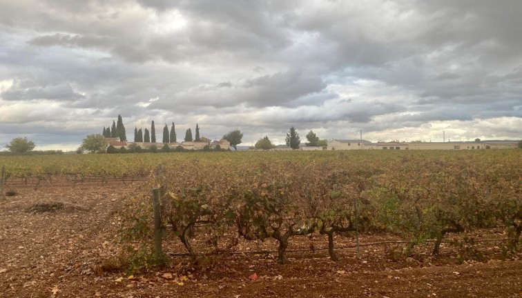 Återförsäljning - Cellar - Albacete