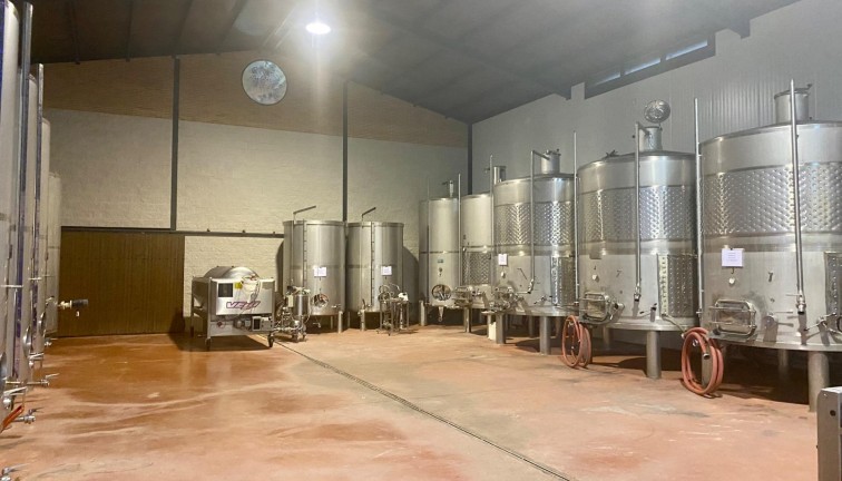 Återförsäljning - Cellar - Albacete