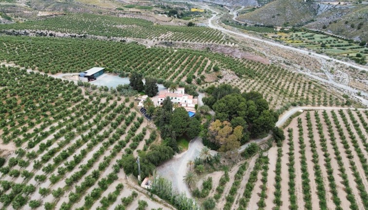 Återförsäljning - Country land - Murcia - Rincón de Seca