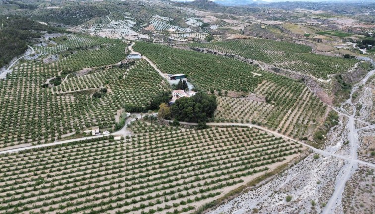 Återförsäljning - Country land - Murcia - Rincón de Seca