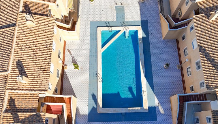 Jälleenmyynti - Bungalow - Torrevieja