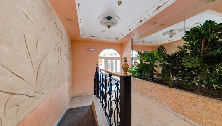 Jälleenmyynti - Asunto - Torrevieja - Playa del Cura