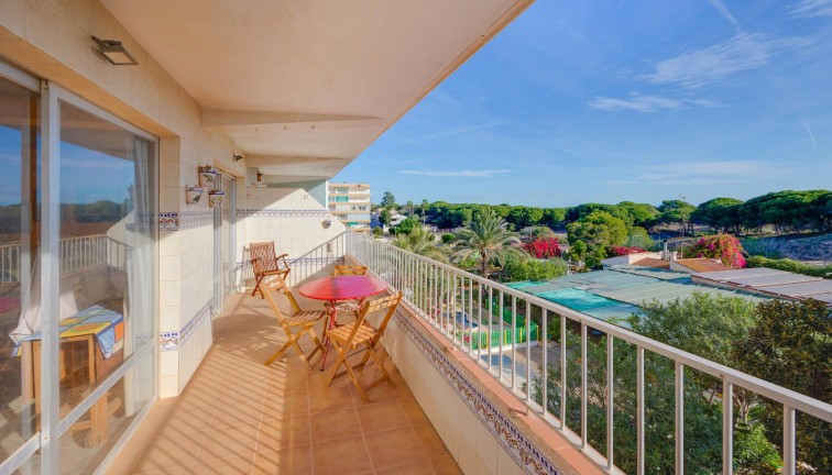 Reventa - Apartamento / piso - Guardamar del Segura