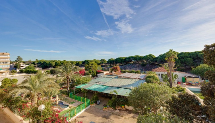 Reventa - Apartamento / piso - Guardamar del Segura