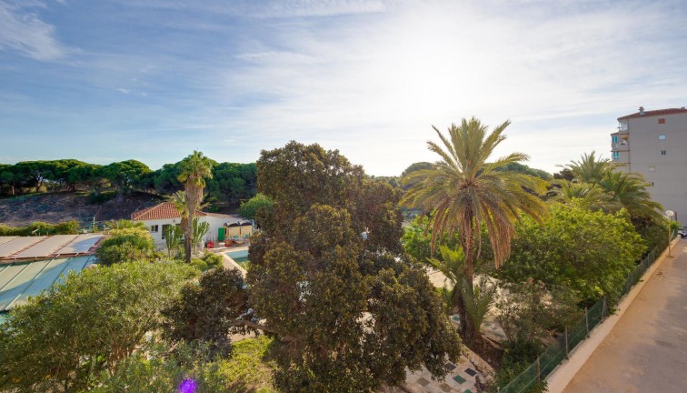 Reventa - Apartamento / piso - Guardamar del Segura