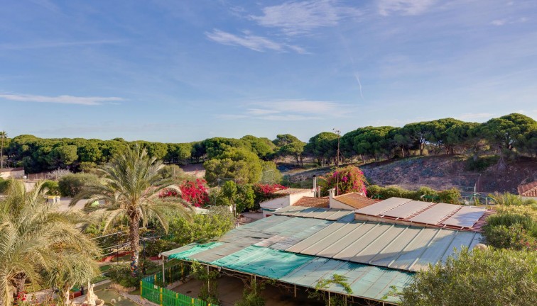 Reventa - Apartamento / piso - Guardamar del Segura