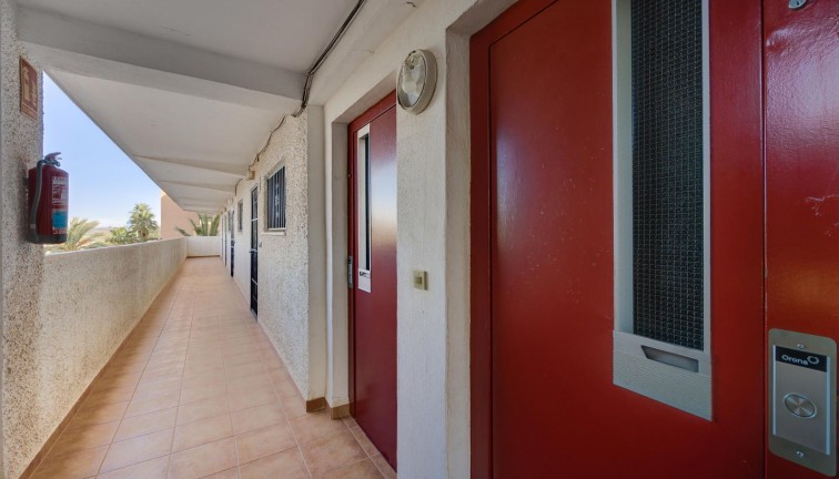 Reventa - Apartamento / piso - Guardamar del Segura