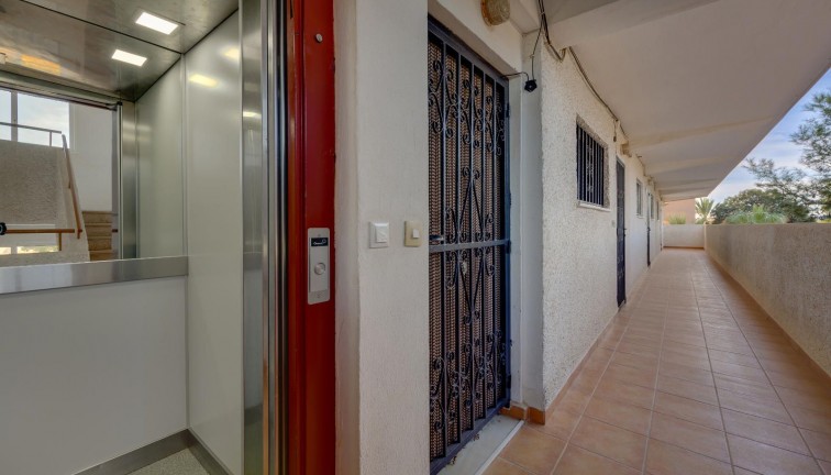 Reventa - Apartamento / piso - Guardamar del Segura