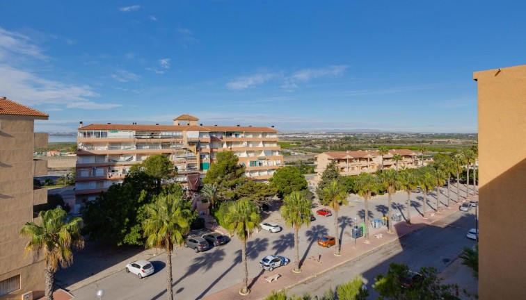 Reventa - Apartamento / piso - Guardamar del Segura