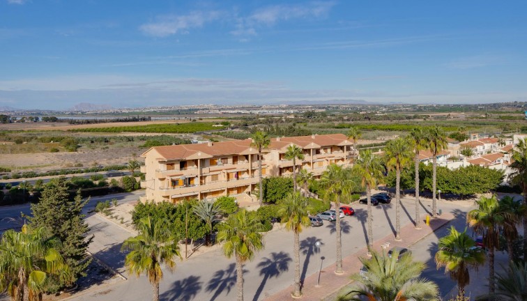 Reventa - Apartamento / piso - Guardamar del Segura