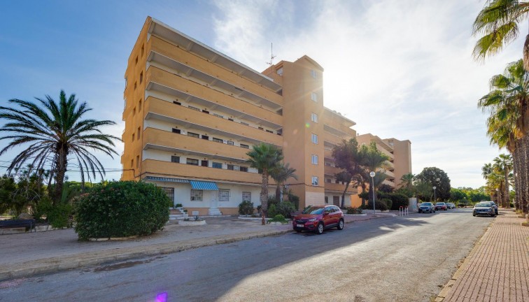 Reventa - Apartamento / piso - Guardamar del Segura