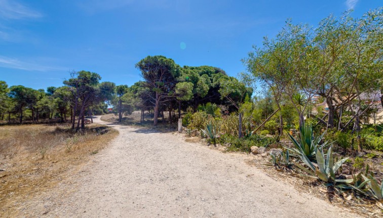 Reventa - Apartamento / piso - Guardamar del Segura