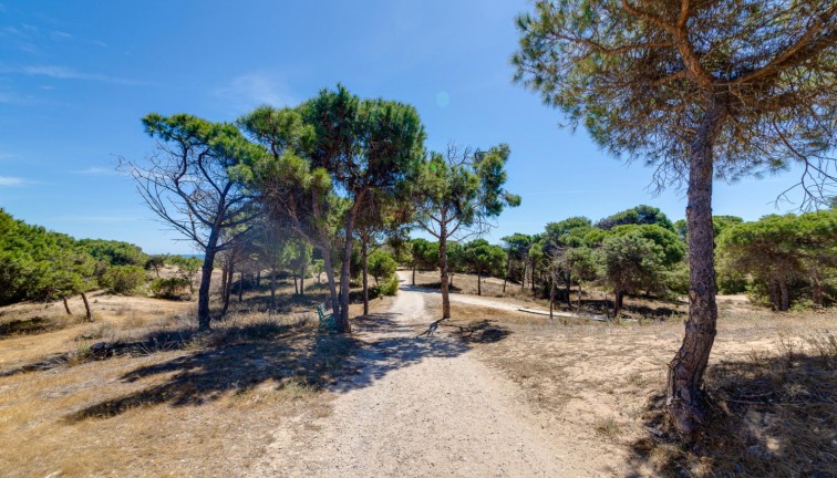 Reventa - Apartamento / piso - Guardamar del Segura