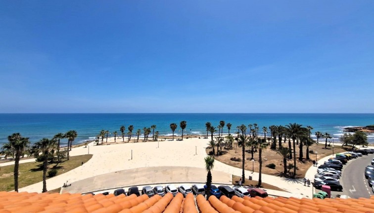 Återförsäljning - Lägenhet - Torrevieja
