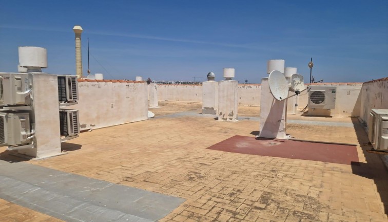 Återförsäljning - Lägenhet - Torrevieja