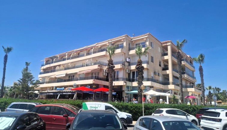 Återförsäljning - Lägenhet - Torrevieja