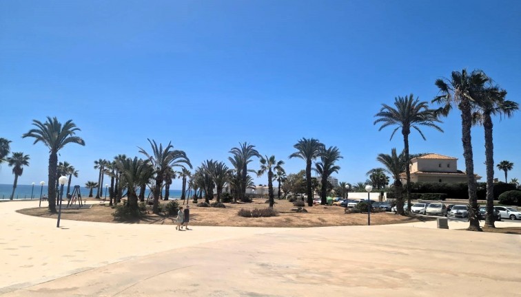Återförsäljning - Lägenhet - Torrevieja