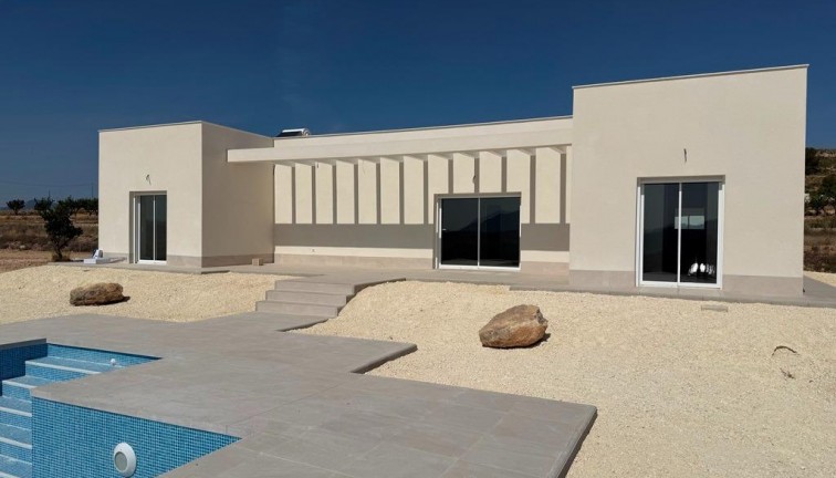 Obra nueva - Chalet - Pinoso
