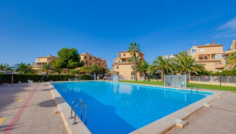 Jälleenmyynti - Yksiö - Torrevieja - Torreblanca