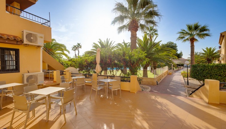 Jälleenmyynti - Yksiö - Torrevieja - Torreblanca