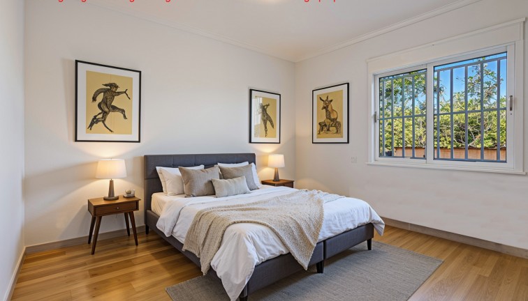 Jälleenmyynti - Erillistalo - Rojales