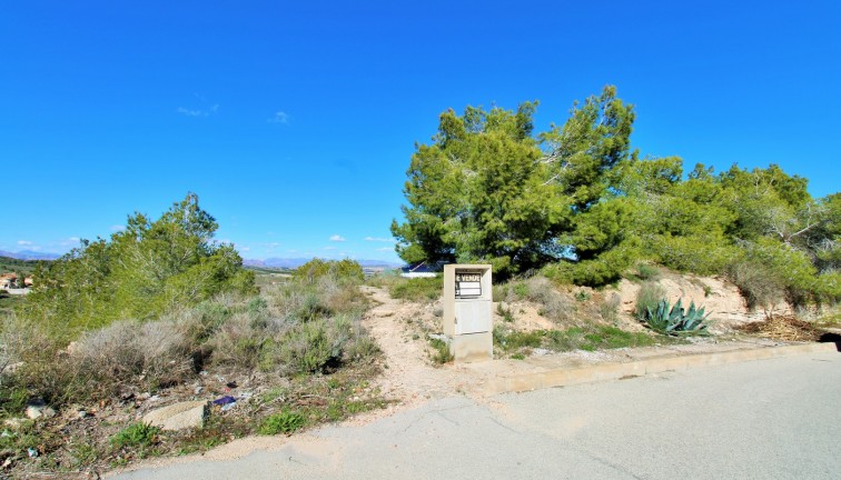 Reventa - Solar - San Miguel de Salinas