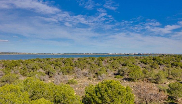 Jälleenmyynti - Asunto - Torrevieja - San Luis