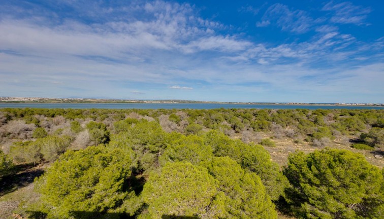 Jälleenmyynti - Asunto - Torrevieja - San Luis