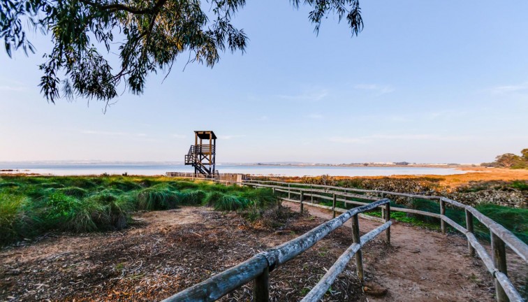 Jälleenmyynti - Asunto - Torrevieja - San Luis