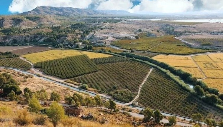 New Build - Chalet - Calasparra - Coto Riñales