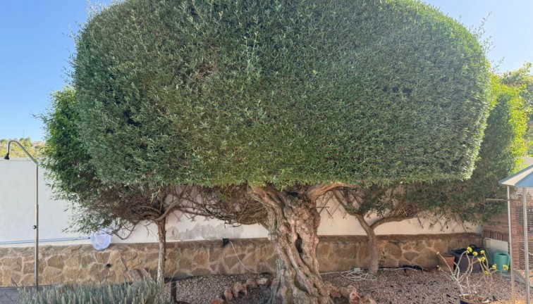 Resale - Chalet - San Miguel de Salinas