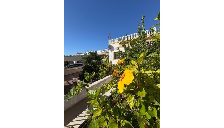 Reventa - Casa adosada - San Fulgencio