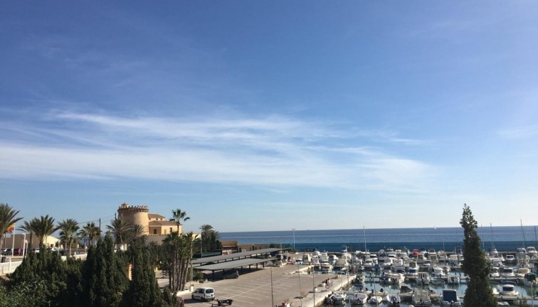 New Build - Chalet - Pilar de la Horadada