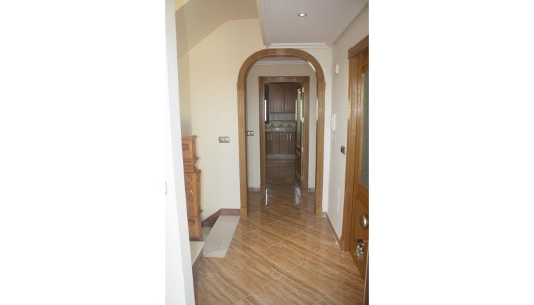 Obra nueva - Chalet - Torrevieja - Los Altos