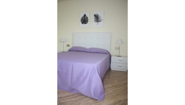 Obra nueva - Chalet - Torrevieja - Los Altos