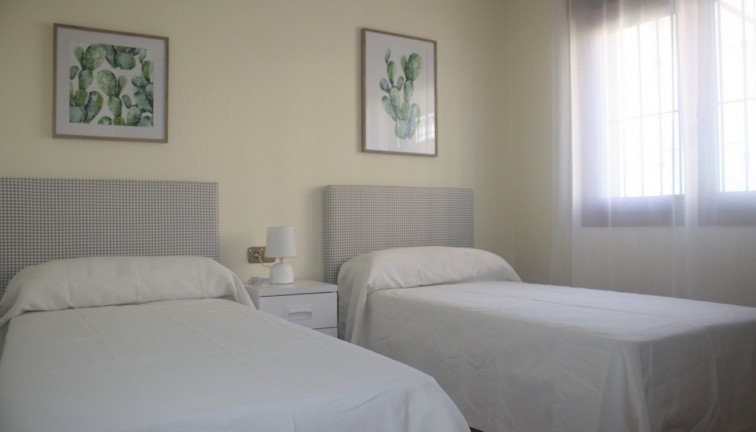 Obra nueva - Chalet - Torrevieja - Los Altos