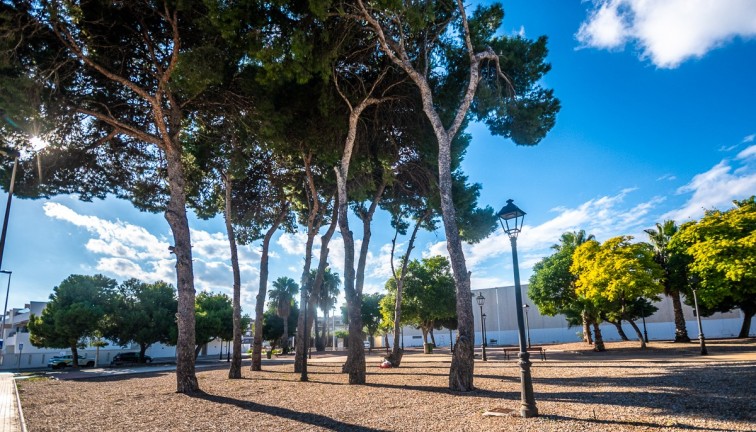 Reventa - Apartamento - Apartamento en el último piso - San Pedro del Pinatar