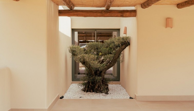 Uudistuotanto - Erillistalo - Jávea - Valle del Sol