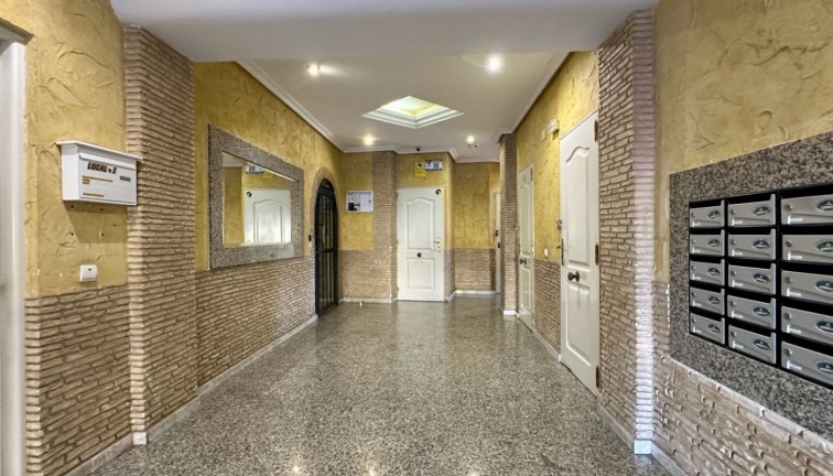 Återförsäljning - Lägenhet - Torrevieja