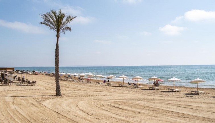 New Build - Apartment - Top Floor Apartment - Guardamar del Segura