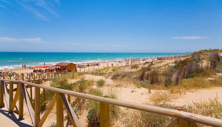 New Build - Apartment - Top Floor Apartment - Guardamar del Segura