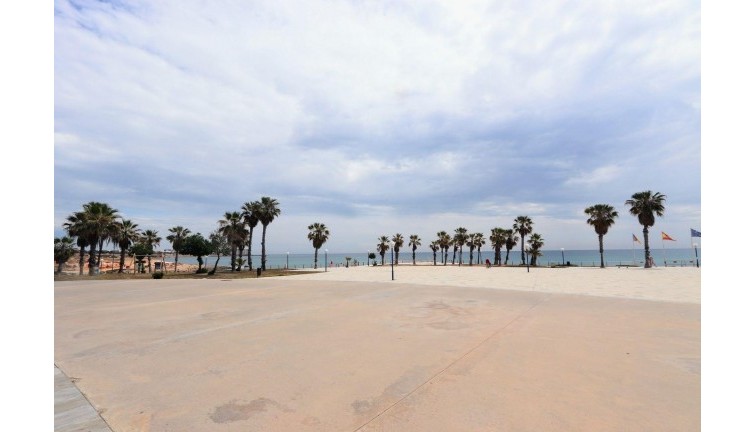 Återförsäljning - Lägenhet - Torrevieja - Playa Flamenca