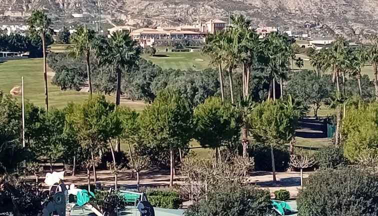 Reventa - Chalet - Algorfa - La Finca Golf