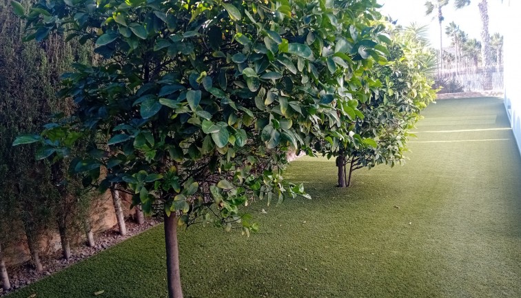 Reventa - Chalet - Algorfa - La Finca Golf